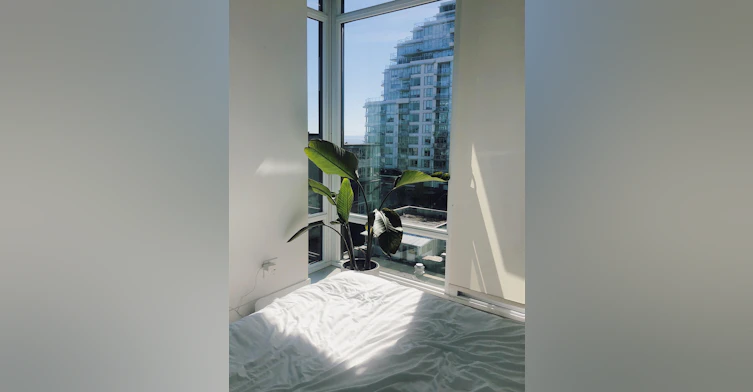 80*-1455 George Street, Surrey, BC, V4B 0A9 - 15