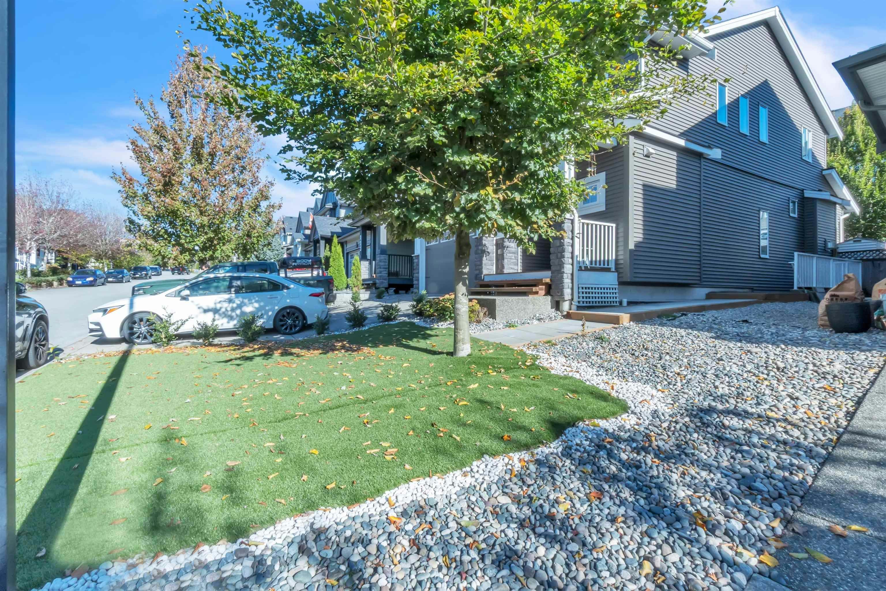 Basement-10476 Robertson Street, Maple Ridge, BC, V2W 0H8 - 16