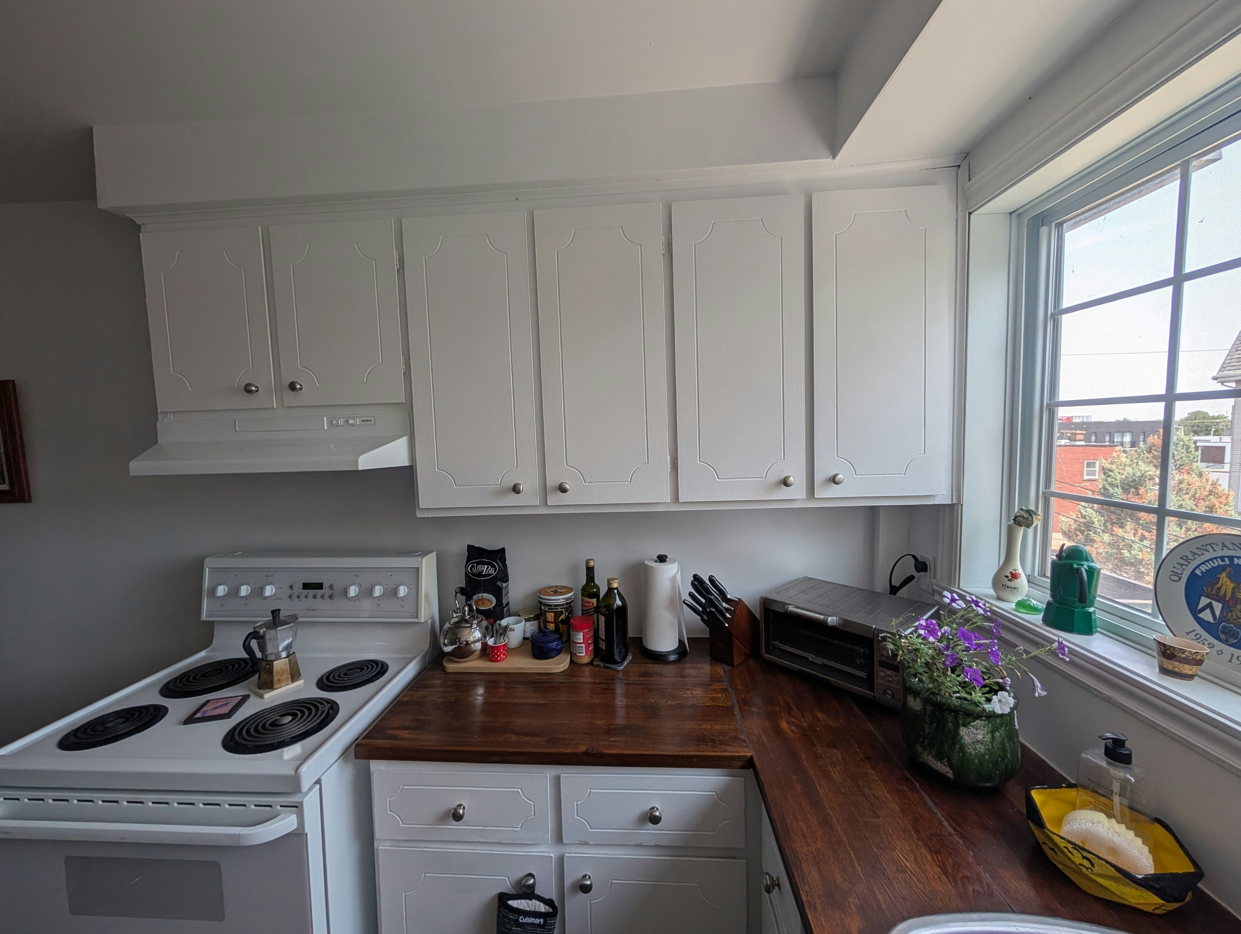 309-147 17e Avenue, Montréal, QC, H8S 3N7