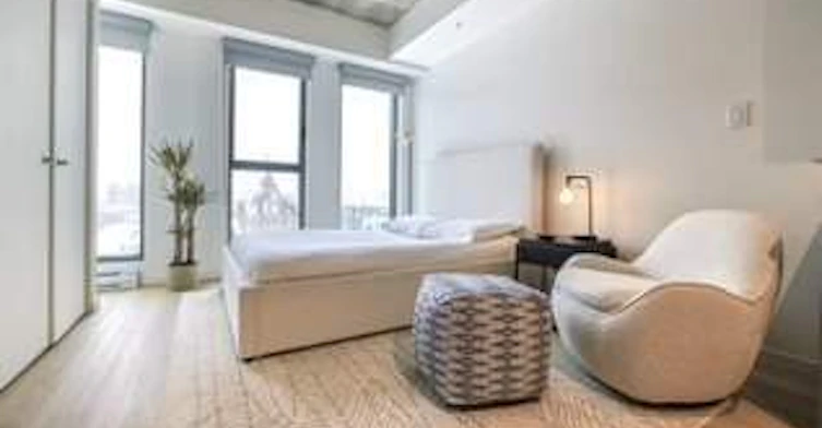Studio A7.1_M-530 Saint Hubert Street, Montréal, QC, H2Y 0B9