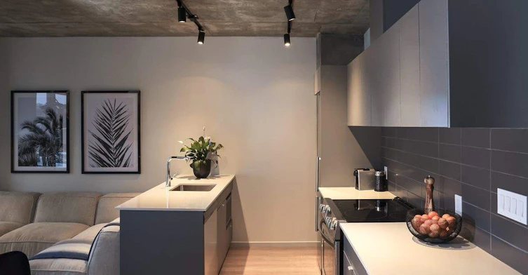 One bedroom B19.1-530 Saint Hubert Street, Montréal, QC, H2Y 0B9 - 2