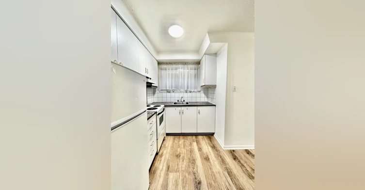 303-4301 Rue De La Roche, Montréal, QC, H2J 3H8 - 2