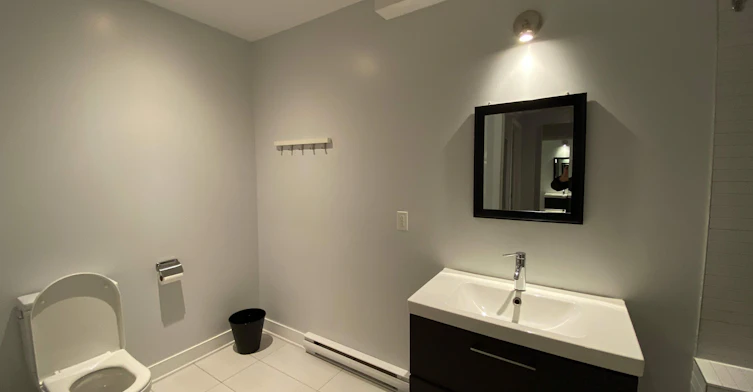 1-4206 Rue De Bullion, Montréal, QC, H2W 2E7 - 10