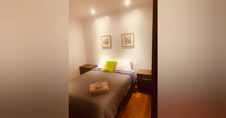 1256-1256 Rue Saint André, Montréal, QC, H2L 3S9 - 8