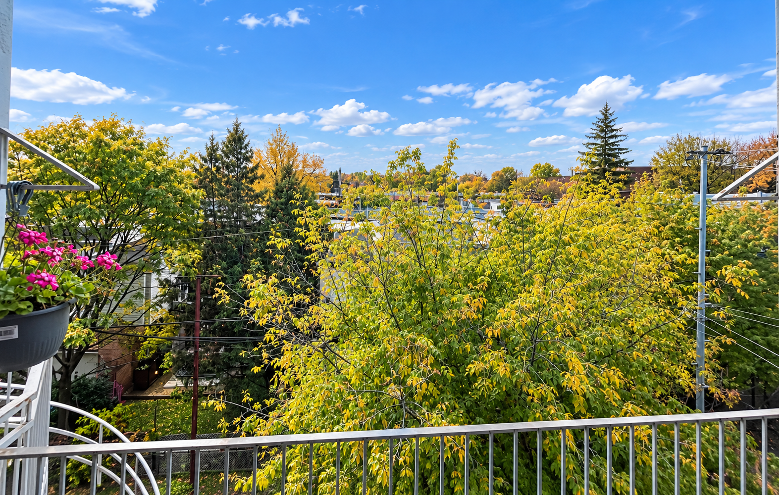 5712A-5712 7e Avenue, Montréal, QC, H1Y 2N7 - 8