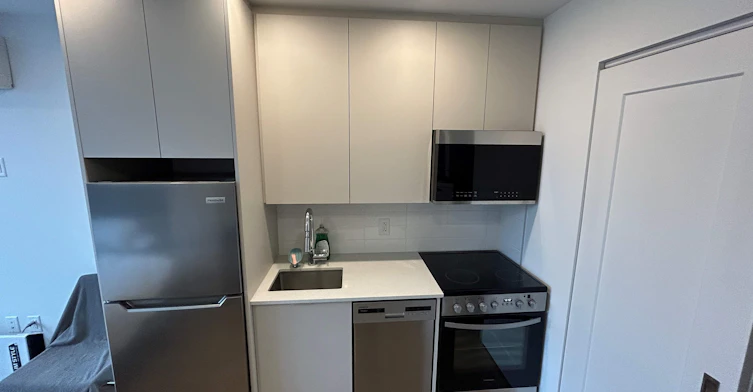 911-1230 Bishop Street, Montréal, QC, H3G 0J2