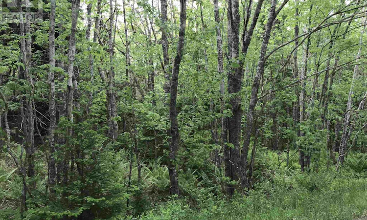 53-03 Acres 308 Highway Highway