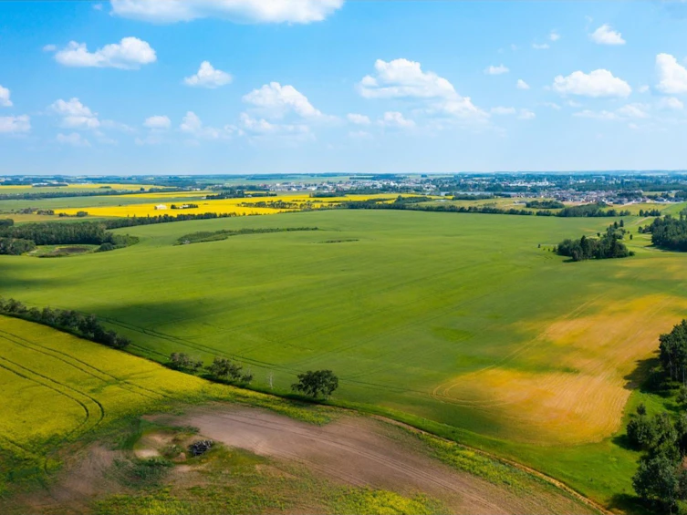 TWP-360 Rr 283c, Innisfail, AB, T4G 1R7 - 10