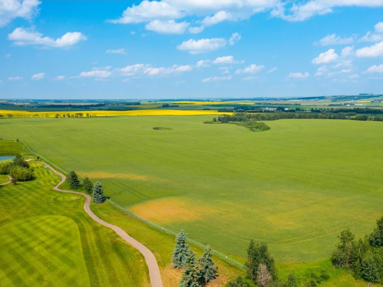 TWP-360 Rr 283c, Innisfail, AB, T4G 1R7 - 6