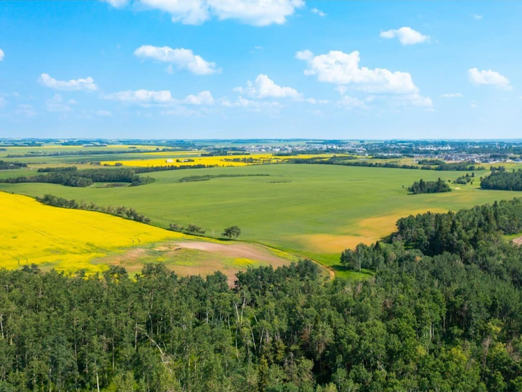TWP-360 Rr 283c, Innisfail, AB, T4G 1R7 - 7