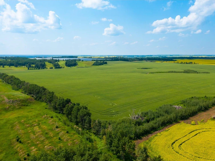 TWP-360 Rr 283c, Innisfail, AB, T4G 1R7 - 8