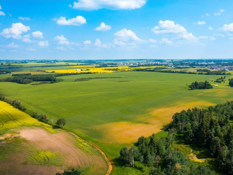 TWP-360 Rr 283c, Innisfail, AB, T4G 1R7 - 9