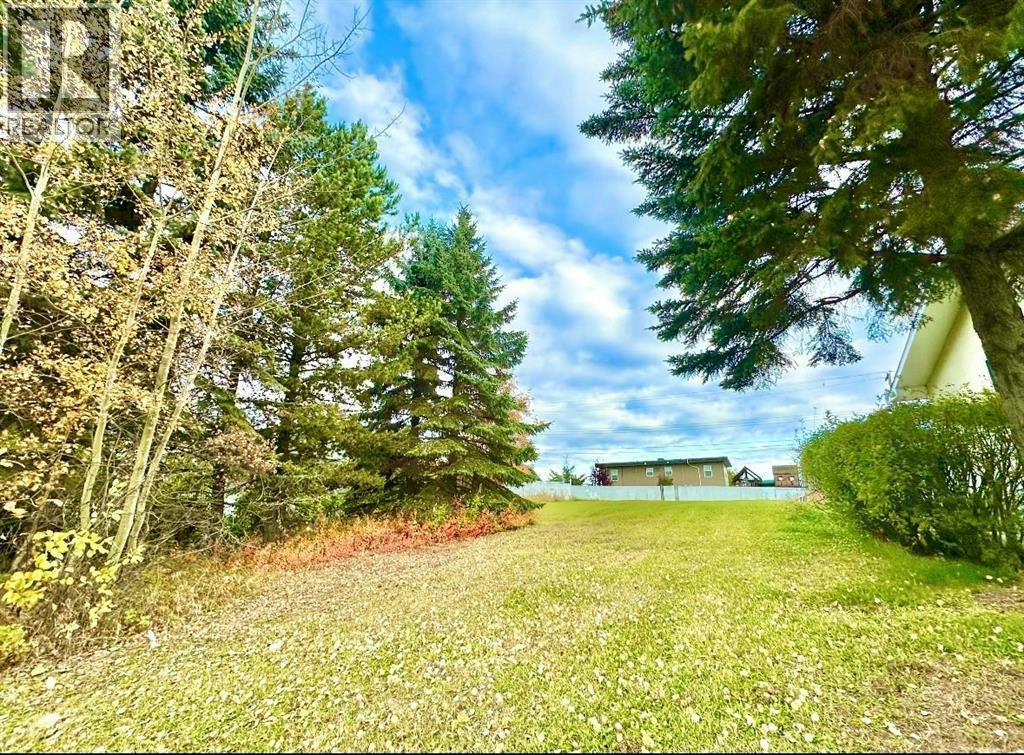 10316 103 Avenue, Lac La Biche, AB, T0A 2C0