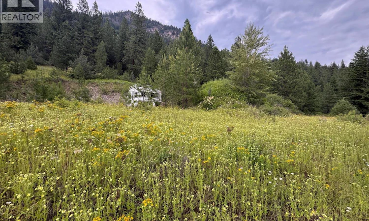 40 Acres Shuswap River Drive