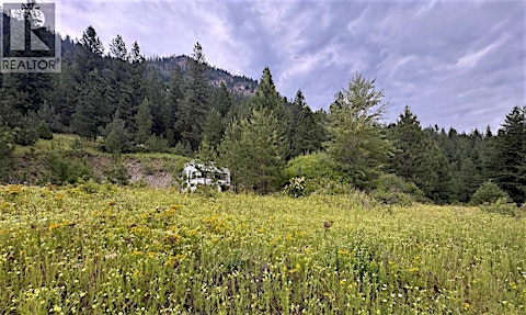 40 Acres Shuswap River Drive, Lumby, BC, V0E 2G6