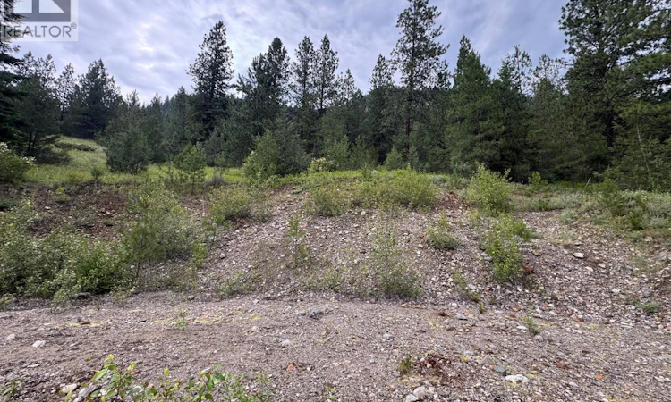 40 Acres Shuswap River Drive