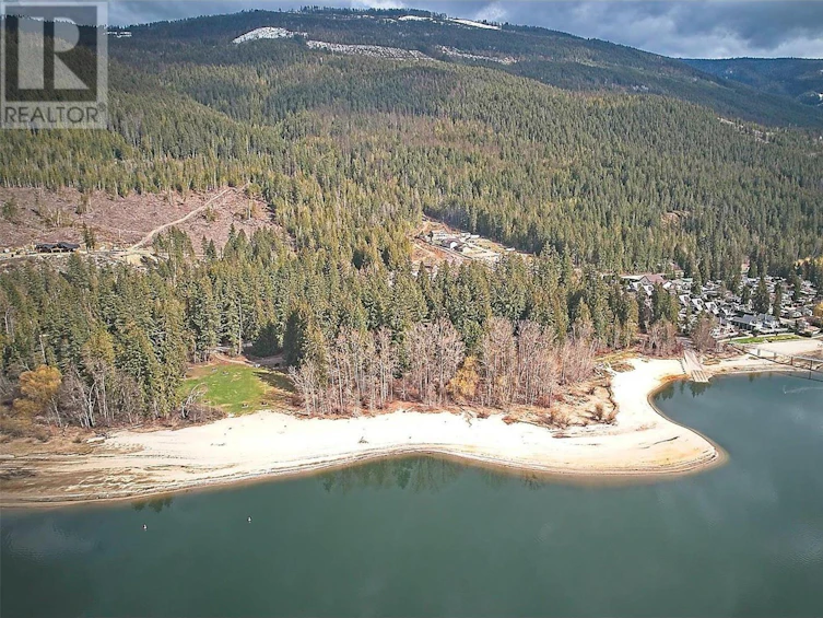 8-8253 97a Highway, Mara, BC, V0E 2K0 - 81