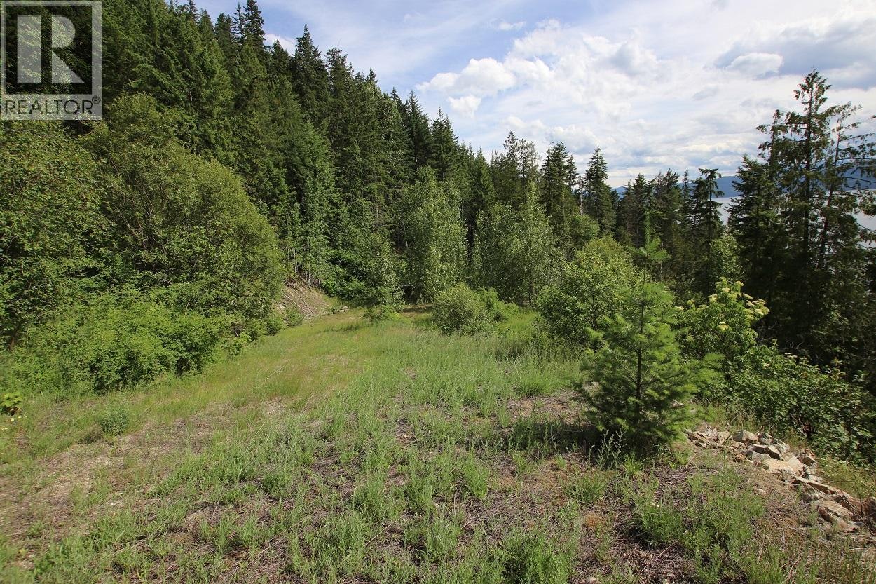 5959 23 Highway, Revelstoke, BC, V0G 1R1