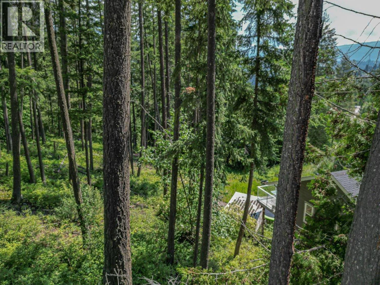 Lot-25 Forest View Place, Blind Bay, BC, V0E 1H1 - 21
