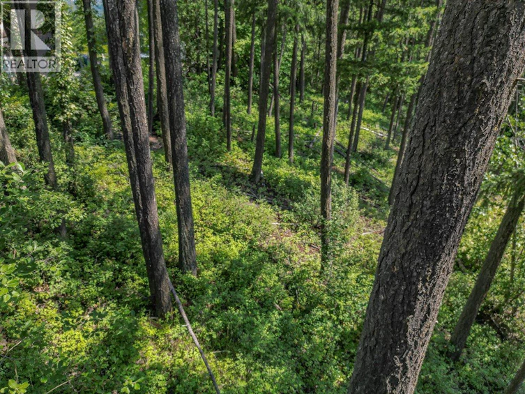 Lot-25 Forest View Place, Blind Bay, BC, V0E 1H1