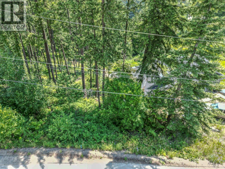 Lot-25 Forest View Place, Blind Bay, BC, V0E 1H1 - 4
