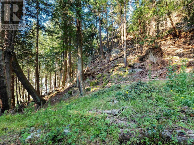 498 Marine Turnabout, Mayne Island, BC, V0N 2J2 - 21
