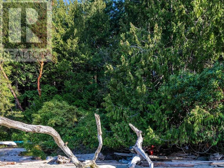 498 Marine Turnabout, Mayne Island, BC, V0N 2J2 - 24