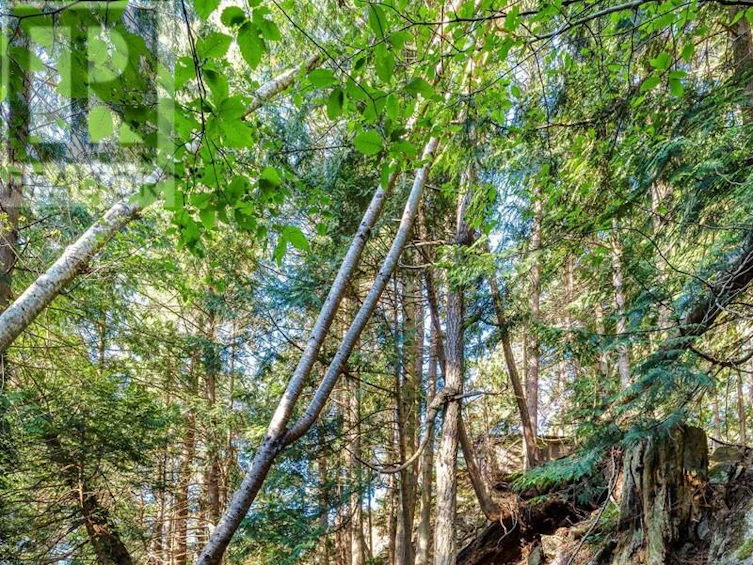 498 Marine Turnabout, Mayne Island, BC, V0N 2J2 - 20