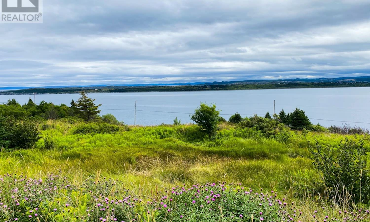 58 Anthonys Road