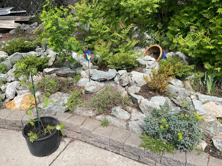 356 Marguerite Avenue Avenue, Greenwood, BC, V0H 1J0 - 22