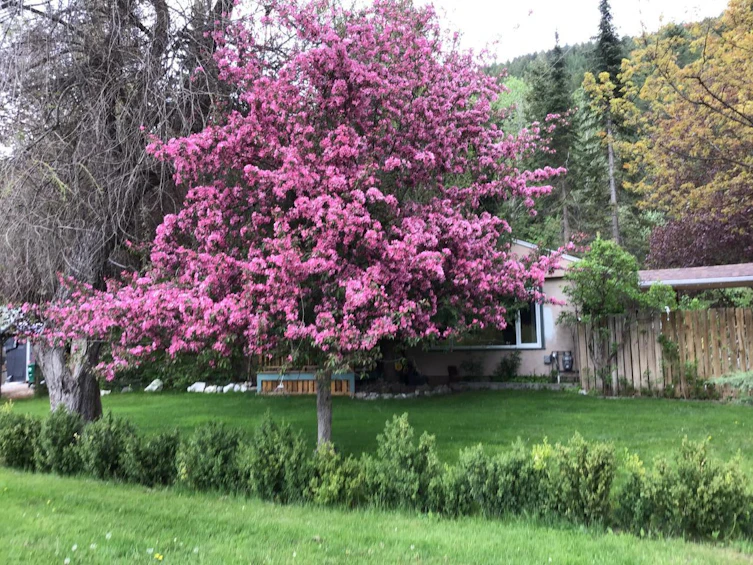 356 Marguerite Avenue Avenue, Greenwood, BC, V0H 1J0 - 5