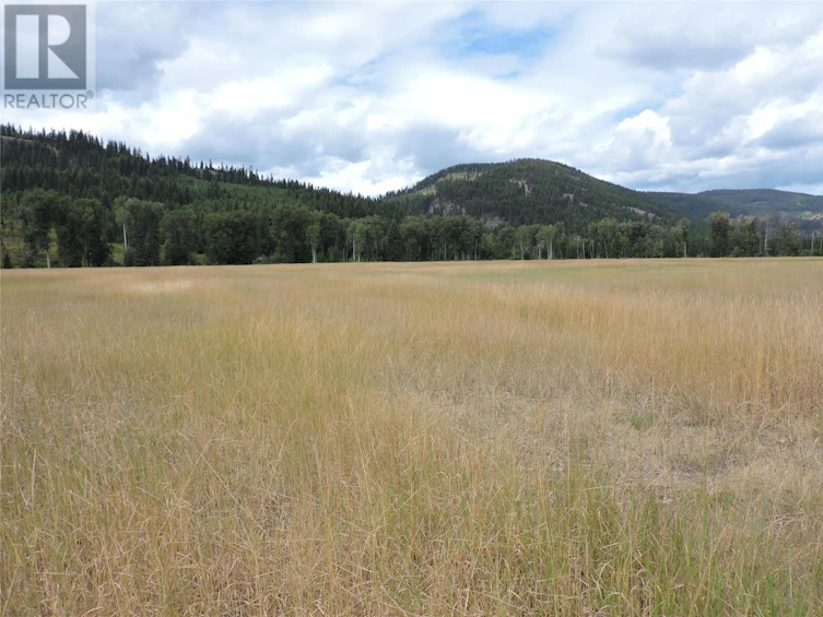 8595 Christian Valley Road, Westbridge, BC, V0H 1Y0