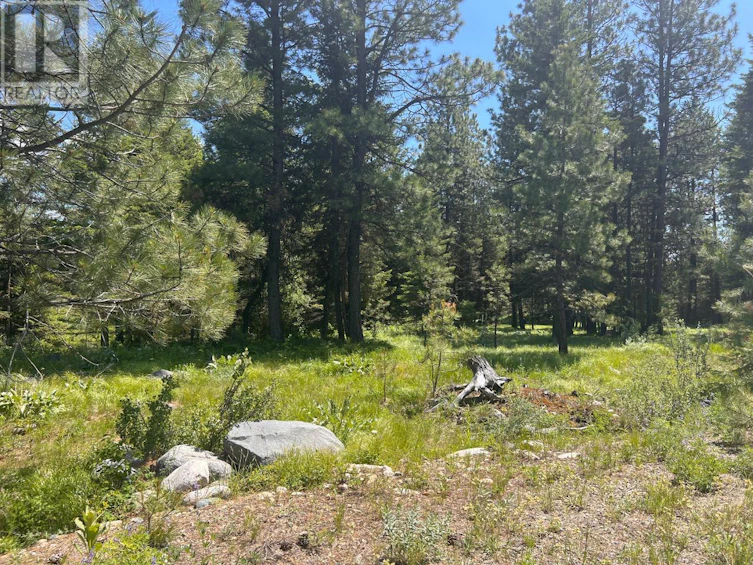 125 Sasquatch Trail, Osoyoos, BC, V0H 1V6 - 10