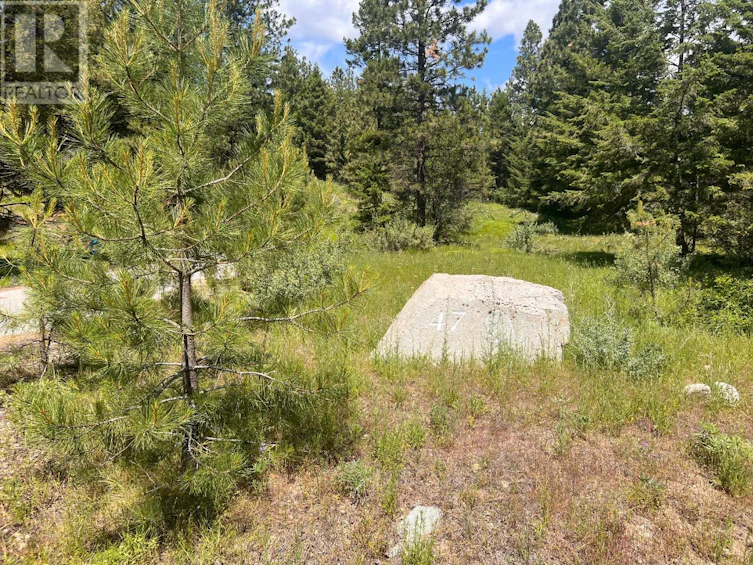 125 Sasquatch Trail, Osoyoos, BC, V0H 1V6 - 11