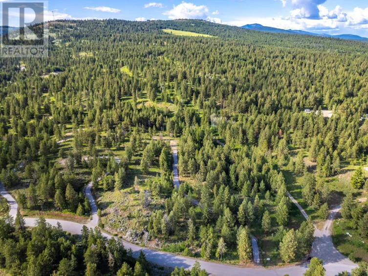 125 Sasquatch Trail, Osoyoos, BC, V0H 1V6 - 30