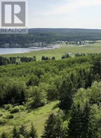 6105 Horse Lake North Road