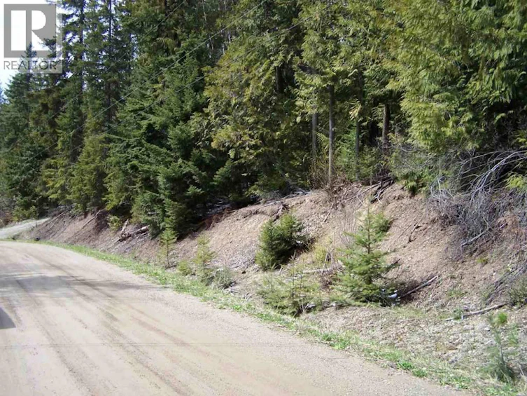Lot-59 Copper Island Drive, Anglemont, BC, V0E 1M8 - 4
