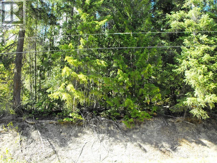 Lot-59 Copper Island Drive, Anglemont, BC, V0E 1M8 - 11