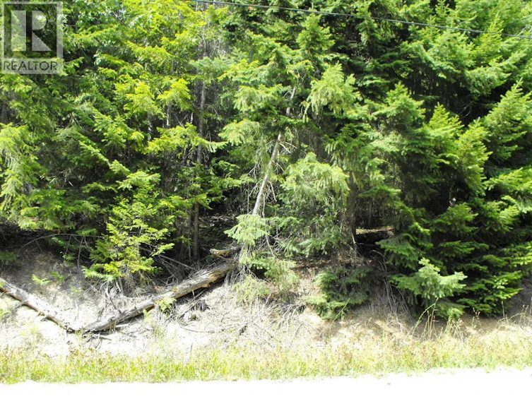 Lot-59 Copper Island Drive, Anglemont, BC, V0E 1M8 - 8