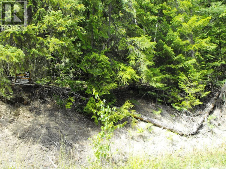Lot-59 Copper Island Drive, Anglemont, BC, V0E 1M8 - 5