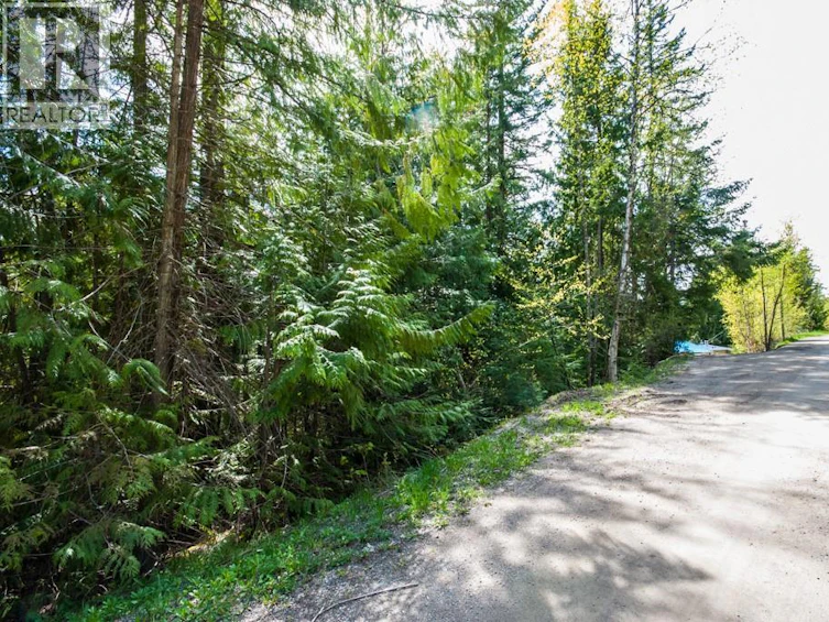 Lot-57 Lonneke Trail, Anglemont, BC, V0E 1M8 - 10