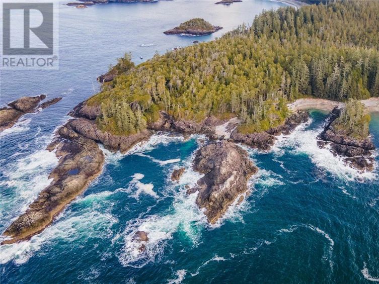 Lot-A Vargas Island, Tofino, BC, V0R 2Z0 - 2