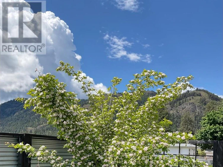 324 Hartland Avenue, Midway, BC, V0H 1M0 - 17