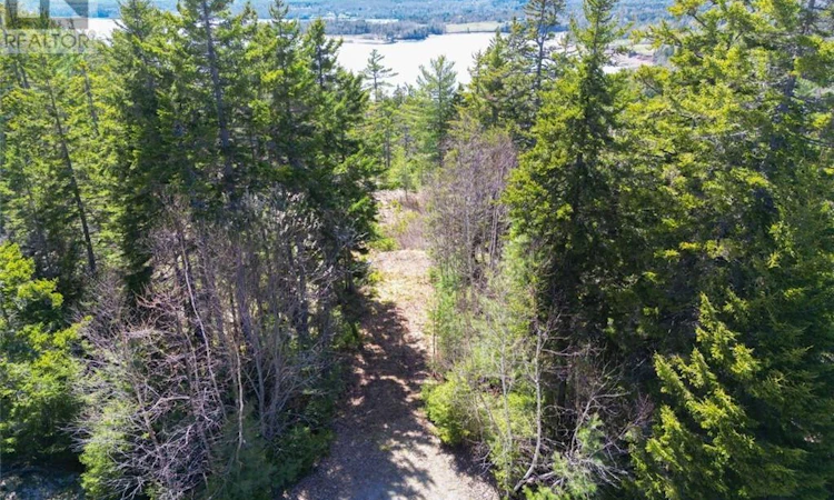 Lot-13 Eagles Passage