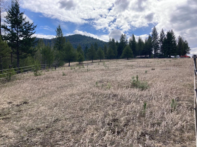 12590 Highway 3, Greenwood, BC, V0H 1M0 - 22