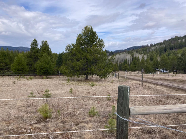 12590 Highway 3, Greenwood, BC, V0H 1M0 - 25
