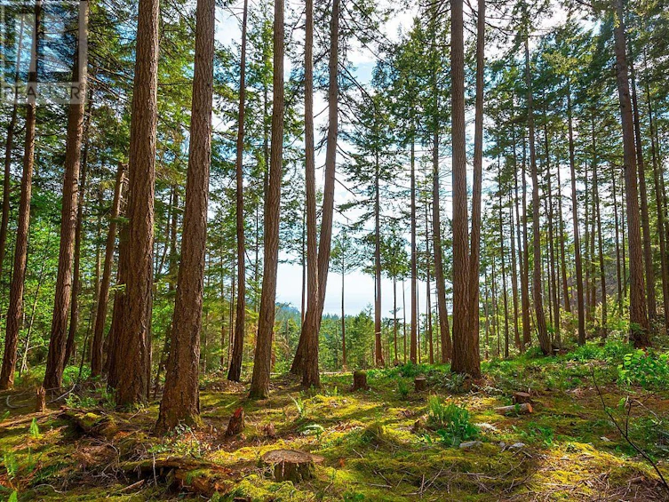 Lot 7 Hayes Road, Bowen Island, BC, V0N 1G2 - 5