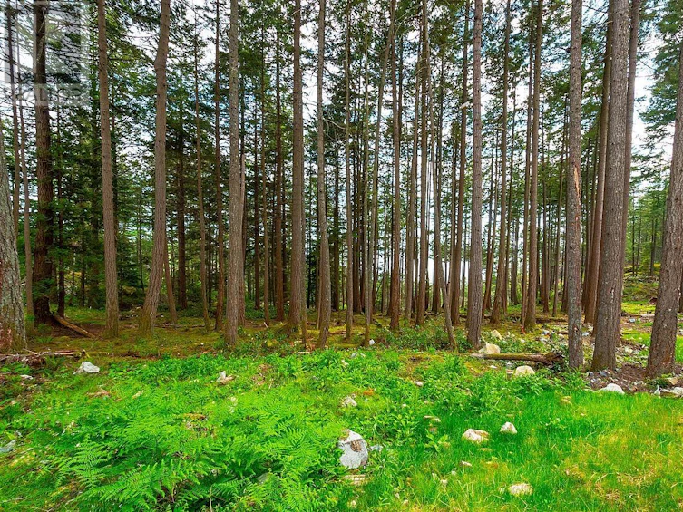 Lot 8 Hayes Road, Bowen Island, BC, V0N 1G2 - 3