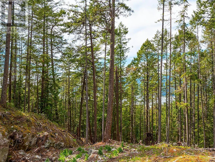Lot 5 Hayes Road, Bowen Island, BC, V0N 1G2 - 5