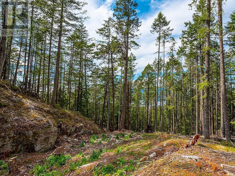 Lot 5 Hayes Road, Bowen Island, BC, V0N 1G2 - 6